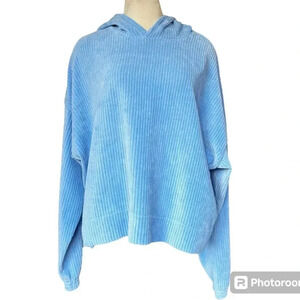 Aerie Blue Lion Groove on velour ribbed hoodie sweatshirt size L